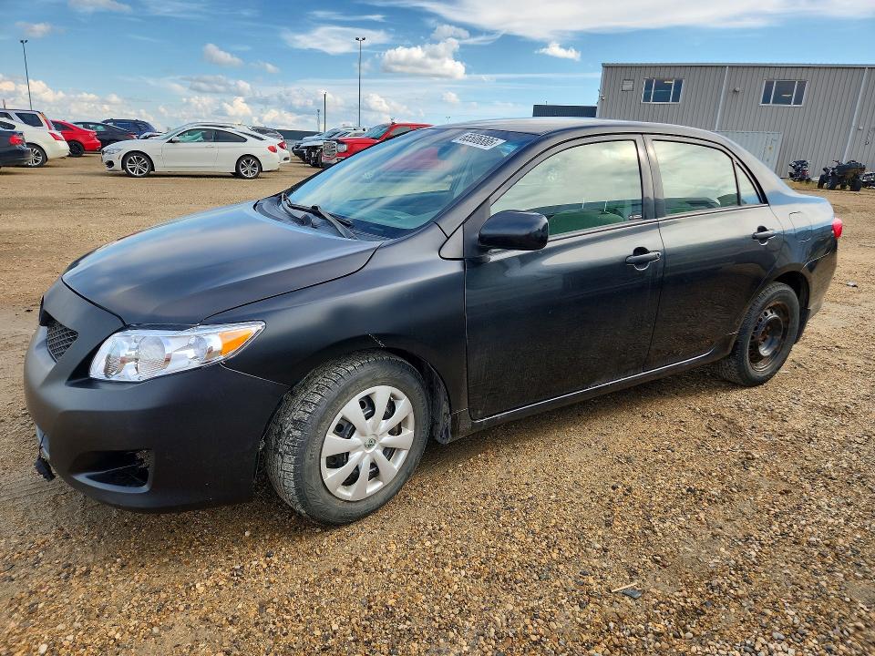 TOYOTA COROLLA 2010 with VIN 2T1BU4EE2AC255202 - Photo from auction