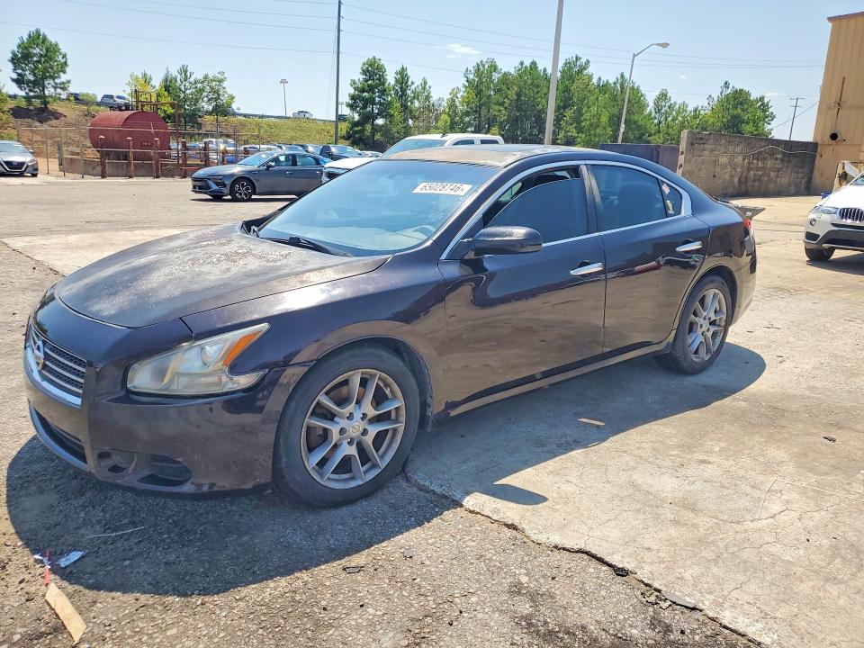 NISSAN MAXIMA 2010 with VIN 1N4AA5APXAC823597 - Photo from auction