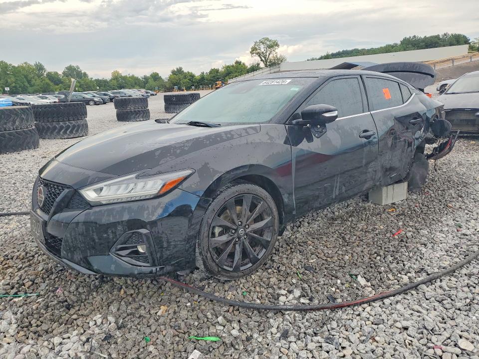 NISSAN MAXIMA 2021 with VIN 1N4AA6EV6MC502448 - Photo from auction