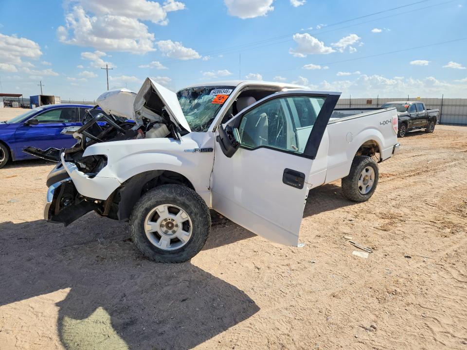 FORD F150 2011 with VIN 1FTFX1EF1EKG36043 - Photo from auction