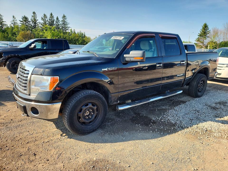 Photo 1 from auction – 2009 FORD F150 with VIN 1FTPW14V99FA83513