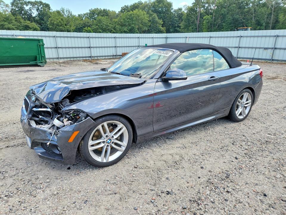 BMW 230I 2017 with VIN WBA2K9C51HV646965 - Photo from auction