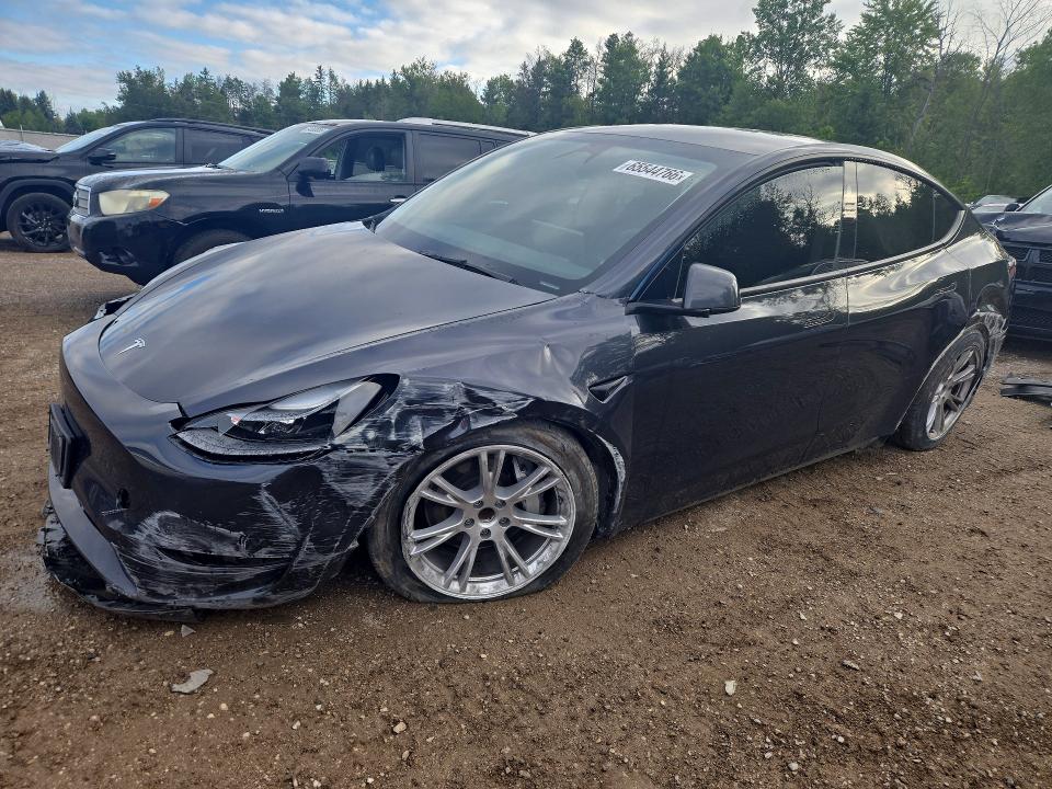 TESLA MODEL Y 2024 with VIN 7SAYGDED3RF078680 - Photo from auction