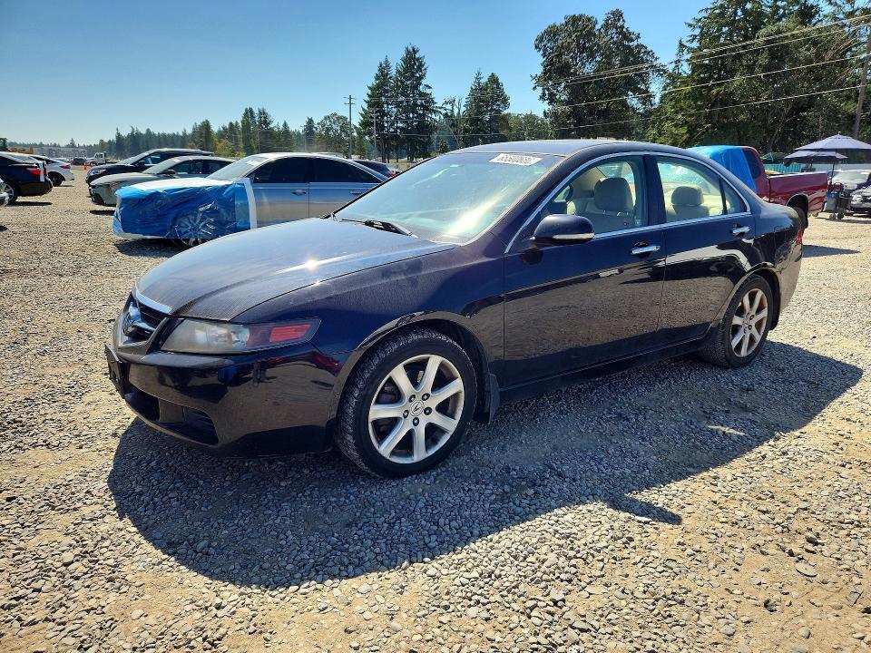 ACURA TSX 2005 with VIN JH4CL96975C001911 - Photo from auction