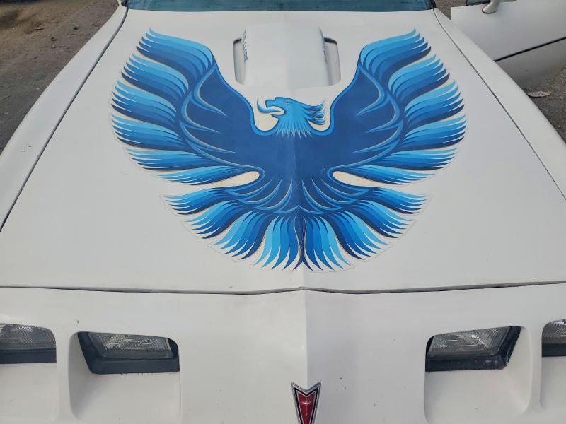 Photo 11 from auction – 1979 PONTIAC OTHER with VIN 2W87K9N141056