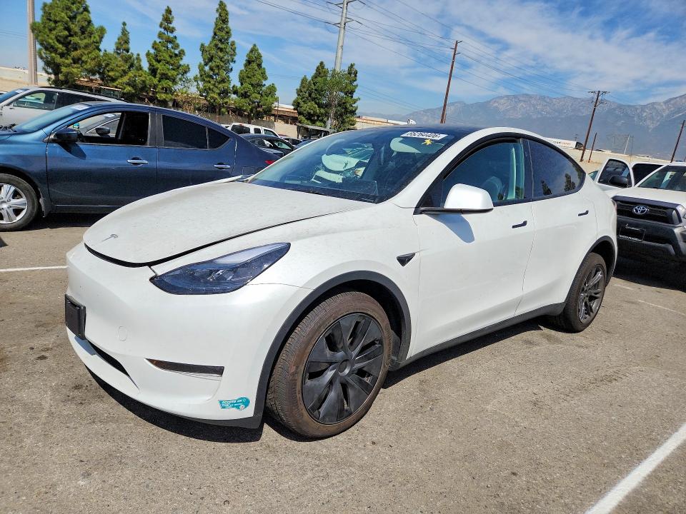 2025 TESLA MODEL Y