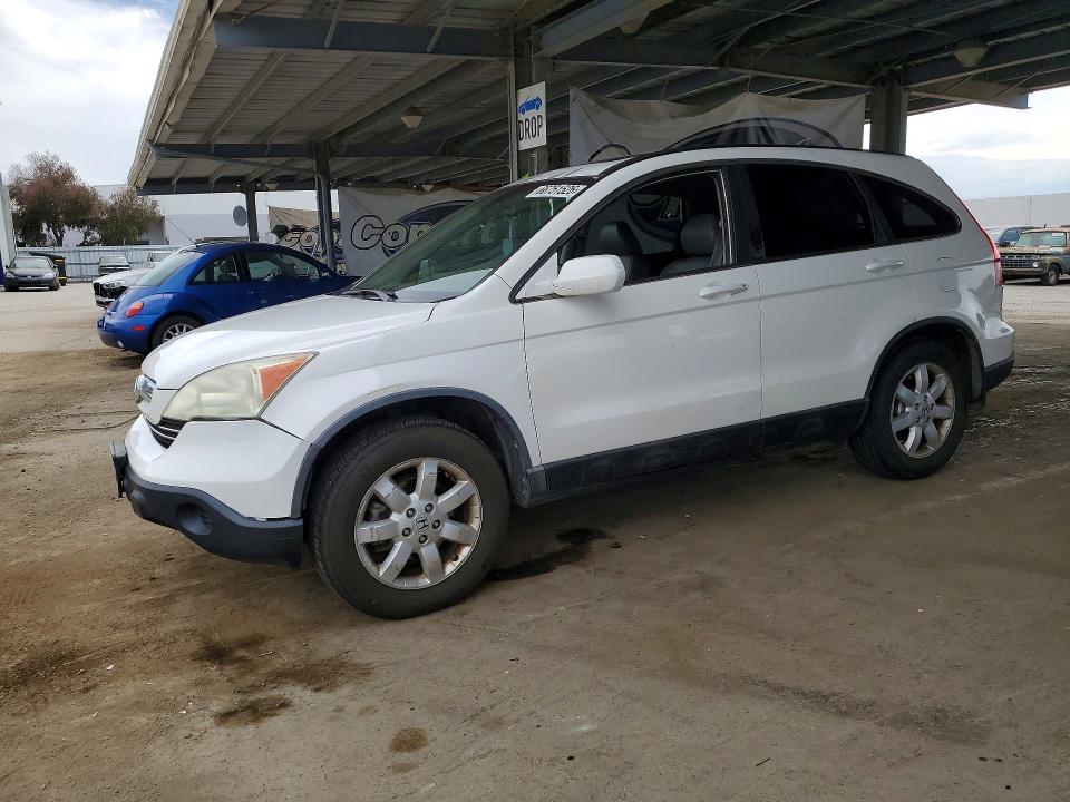 HONDA CR-V 2008 with VIN 5J6RE48798L049123 - Photo from auction