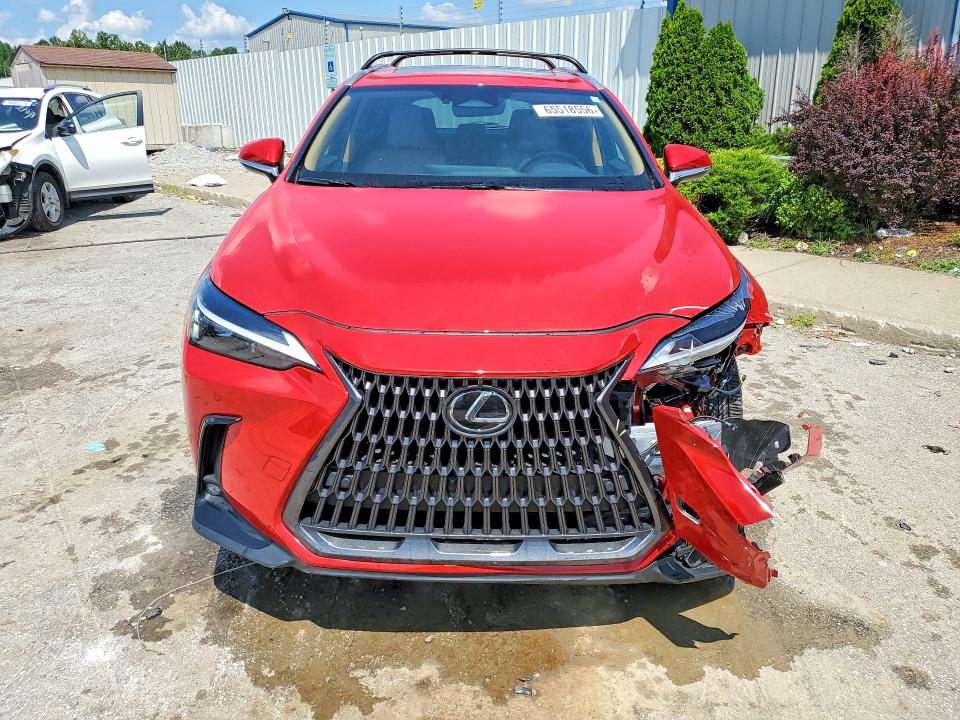 Photo 5 from auction – 2025 LEXUS NX with VIN 2T2GGCEZ7SC080615