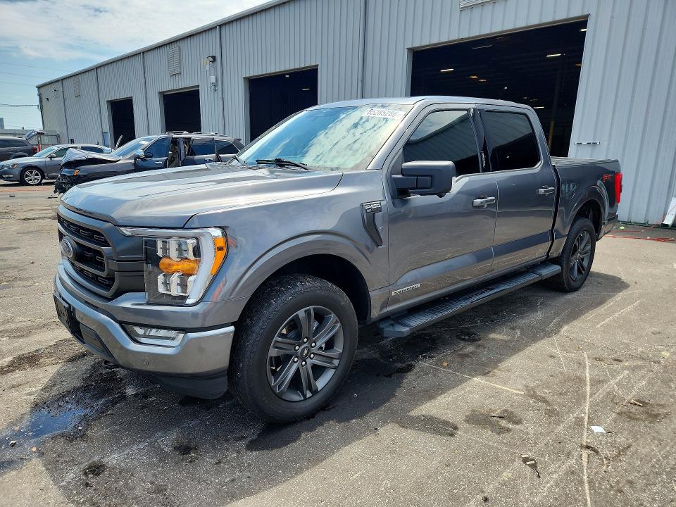 2023 FORD F150 - Търг №65285286