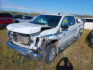CHEVROLET SILVERADO 2023 with VIN 1GCUDDED9PZ264753 - Photo from auction
