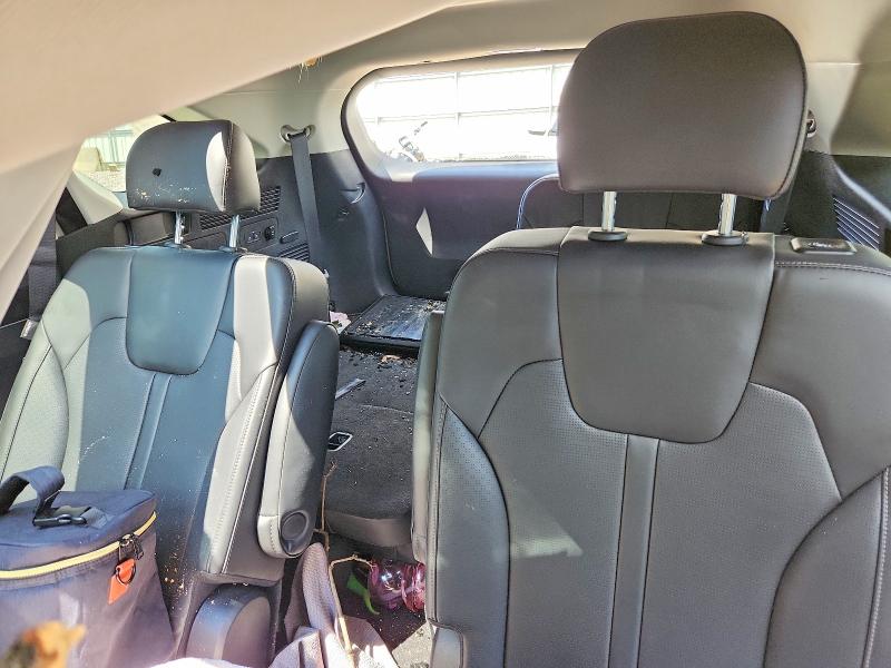 Photo 10 from auction – 2025 KIA SORENTO with VIN 5XYRHDJF0SG354527