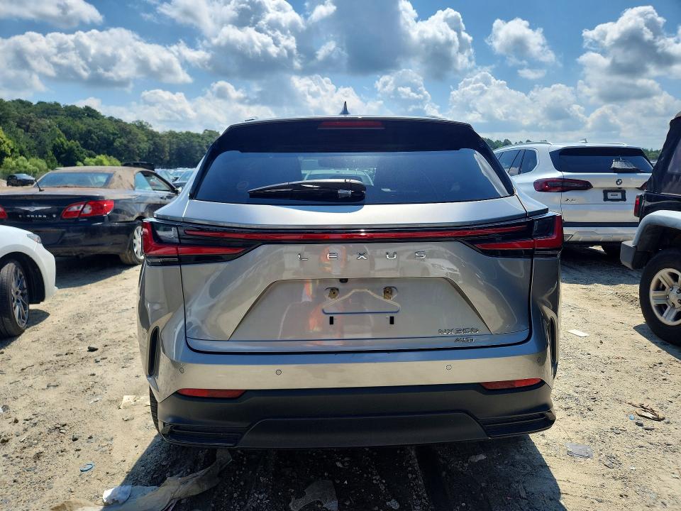 Photo 6 from auction – 2023 LEXUS NX with VIN 2T2HGCEZ0PC021062
