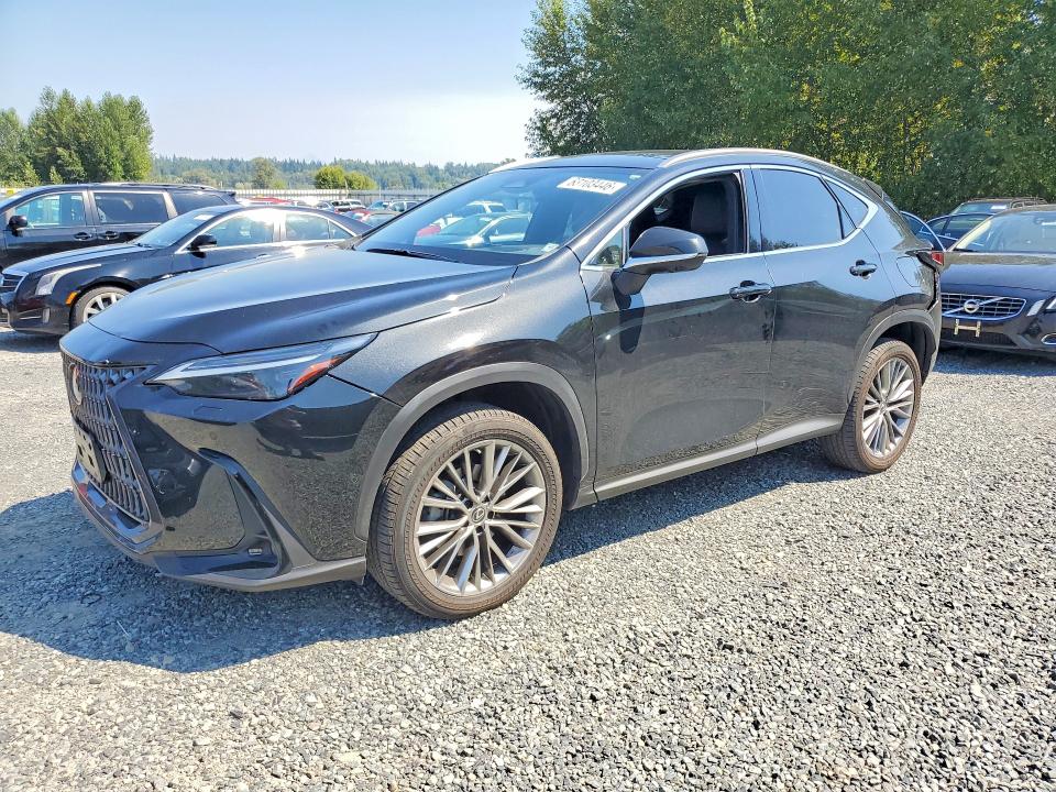 2022 LEXUS NX - Търг №63103446