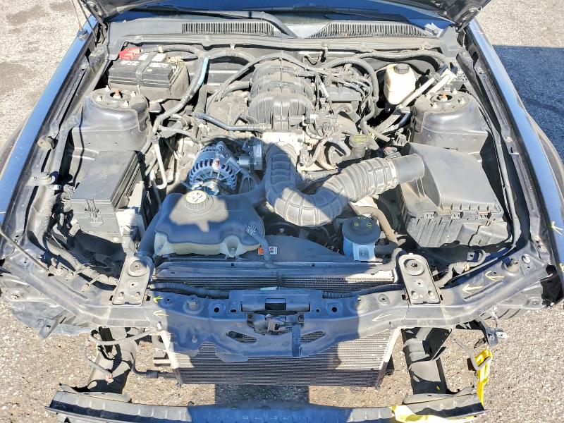 Photo 11 from auction – 2007 FORD MUSTANG with VIN 1ZVHT84N075282844