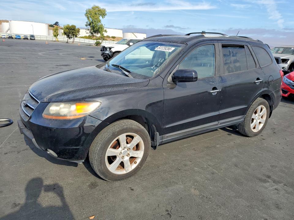 HYUNDAI SANTA FE 2008 with VIN 5NMSH73E38H190700 - Photo from auction