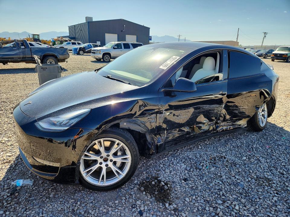 2020 TESLA MODEL Y - Търг №66634626