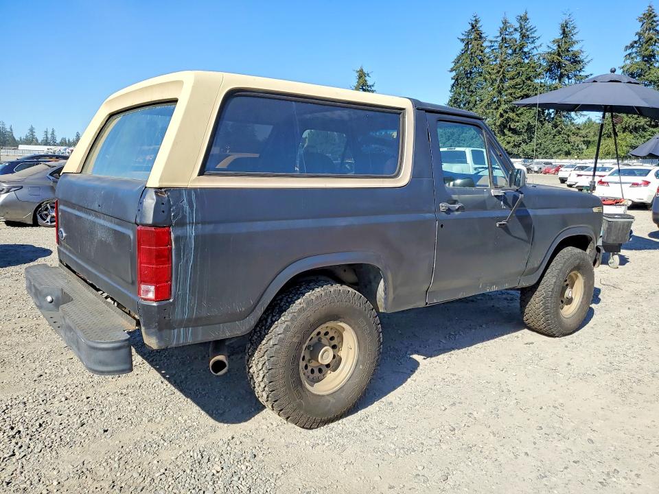 Photo 3 from auction – 1985 FORD BRONCO with VIN 1FMDU15H1FLB02419