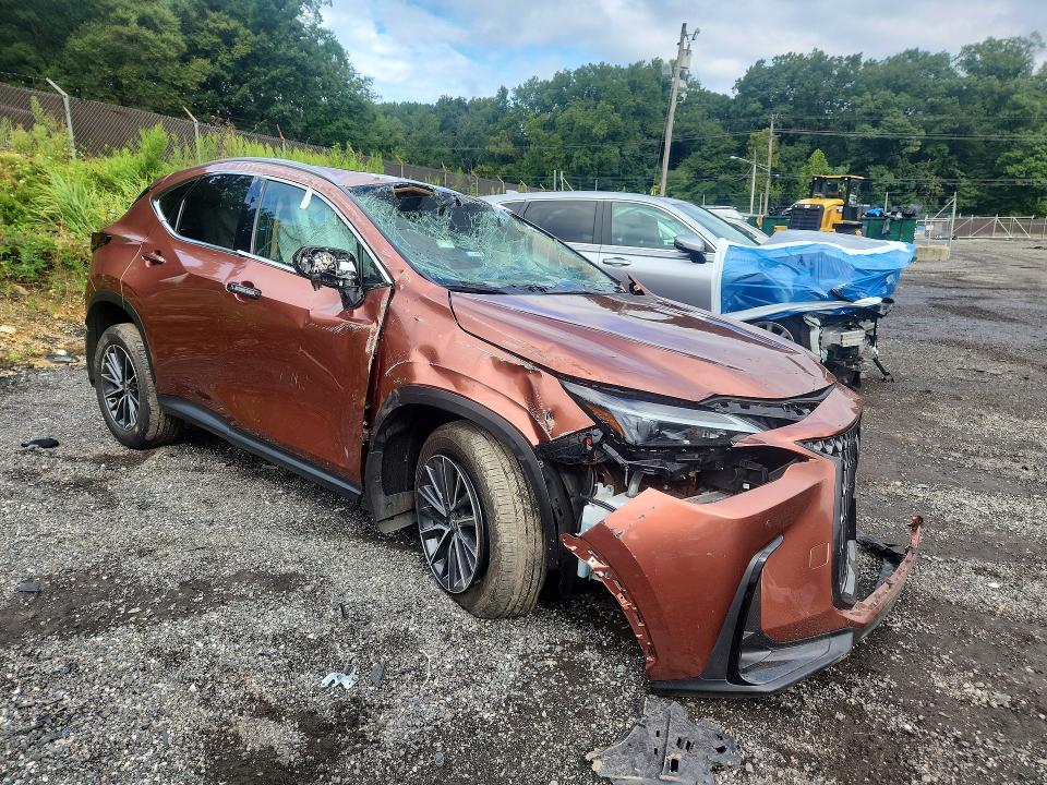 Photo 4 from auction – 2025 LEXUS NX with VIN 2T2GGCEZ4SC066056