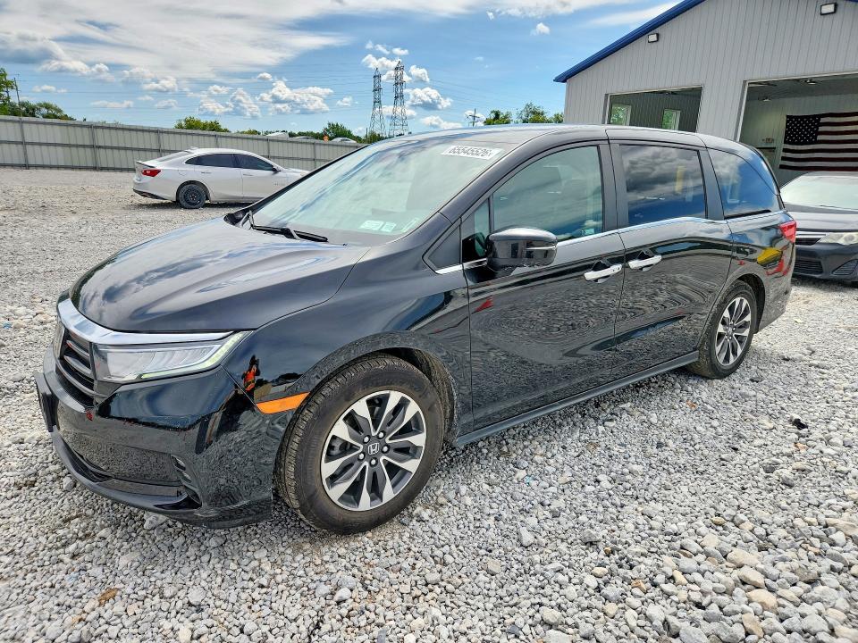 HONDA ODYSSEY 2022 with VIN 5FNRL6H79NB024230 - Photo from auction