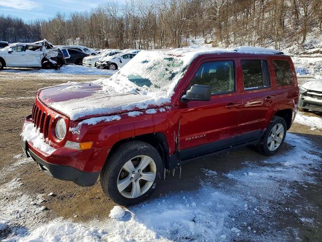 JEEP PATRIOT 2015 with VIN 1C4NJRFB5FD376694 - Photo from auction