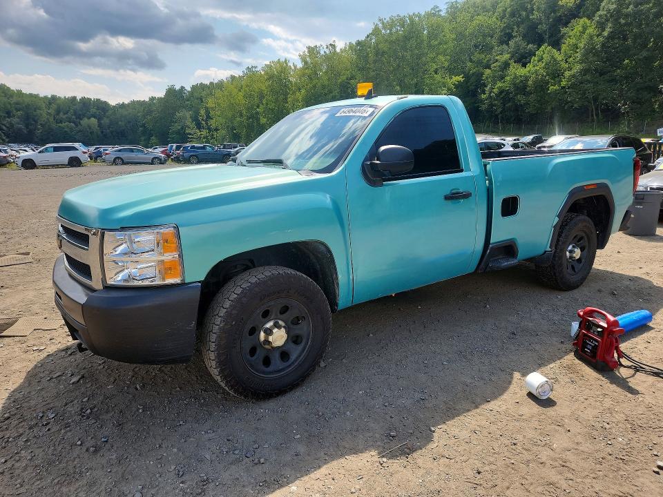 CHEVROLET SILVERADO 2009 with VIN 1GCEK14C79Z293799 - Photo from auction