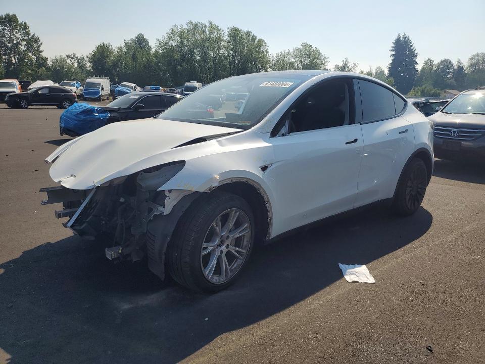 TESLA MODEL  Y 2021 with VIN 5YJYGDEE7MF153685 - Photo from auction