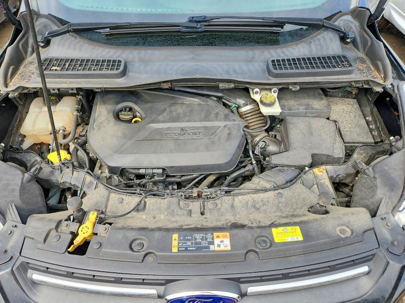 Photo 11 from auction – 2014 FORD ESCAPE with VIN 1FMCU0GX4EUB20593