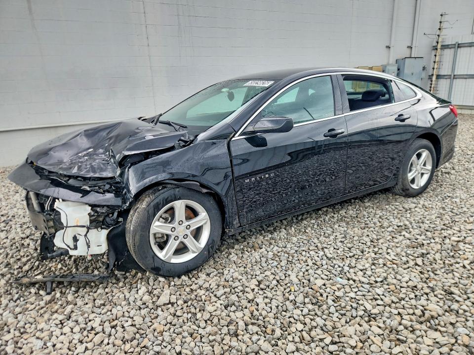 CHEVROLET MALIBU 2024 with VIN 1G1ZB5ST4RF244839 - Photo from auction
