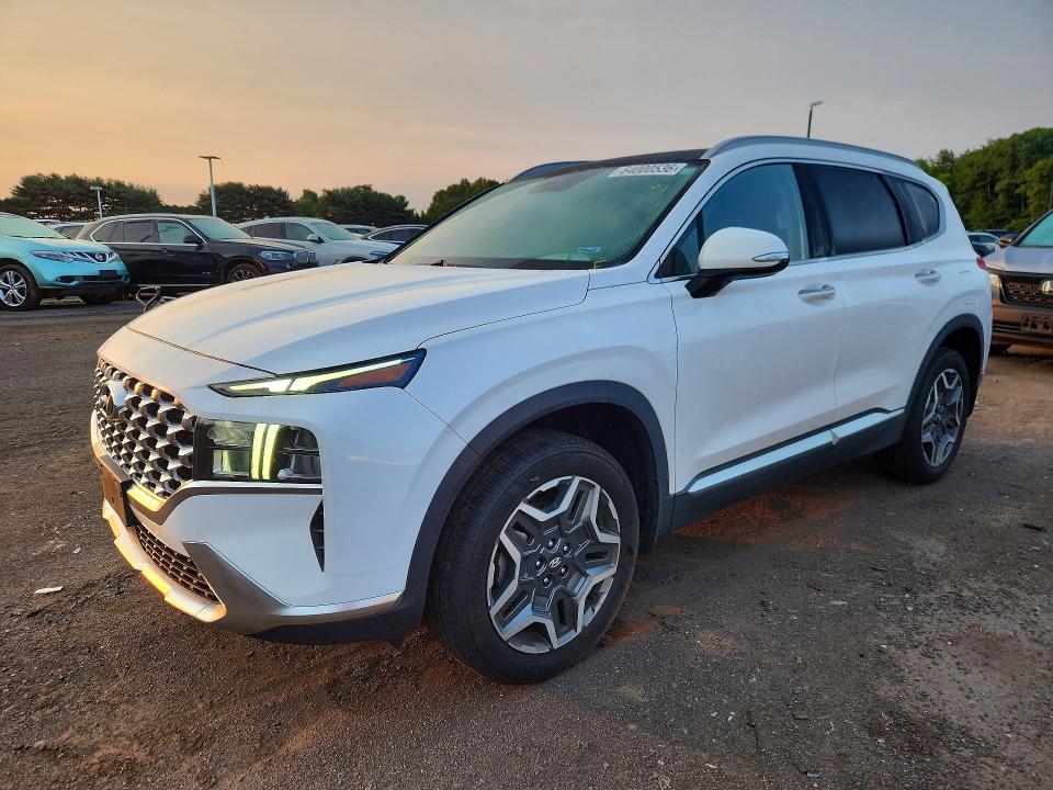 HYUNDAI SANTA FE 2022 with VIN KM8S3DA13NU039613 - Photo from auction