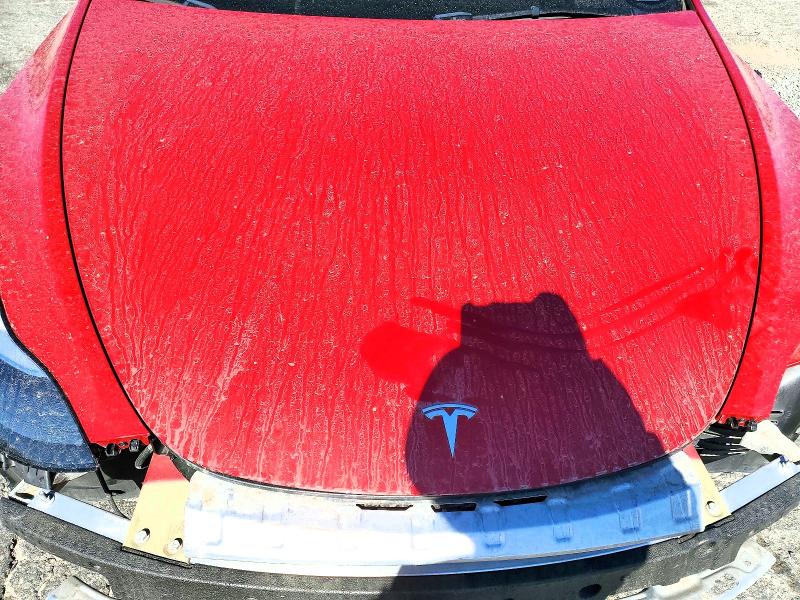 Photo 11 from auction – 2023 TESLA MODEL Y with VIN 7SAYGDEF1PF977276