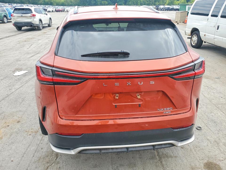 Photo 6 from auction – 2024 LEXUS NX 350 with VIN 2T2KGCEZXRC033048