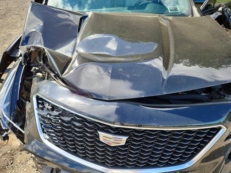 Photo 12 from auction – 2019 CADILLAC XT4 with VIN 1GYFZFR45KF115499