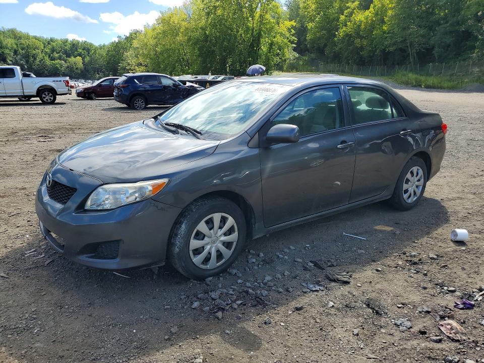 TOYOTA COROLLA 2010 with VIN 2T1BU4EE4AC484075 - Photo from auction