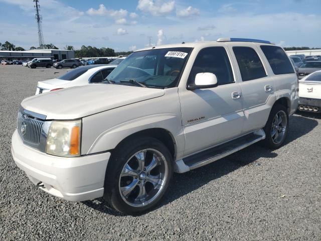 CADILLAC ESCALADE 2002 with VIN 1GYEC63T92R207596 - Photo from auction