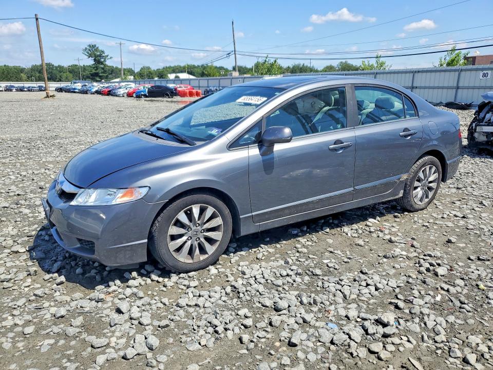 HONDA CIVIC 2010 with VIN 19XFA1F8XAE031646 - Photo from auction
