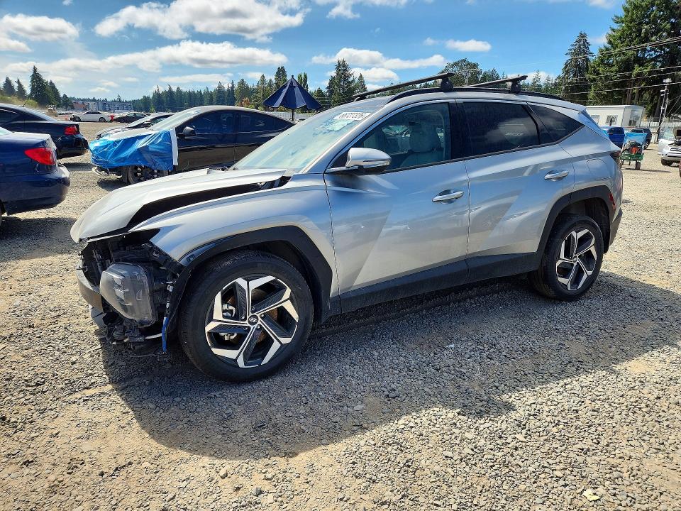 HYUNDAI TUCSON 2024 with VIN 5NMJECDE9RH319682 - Photo from auction