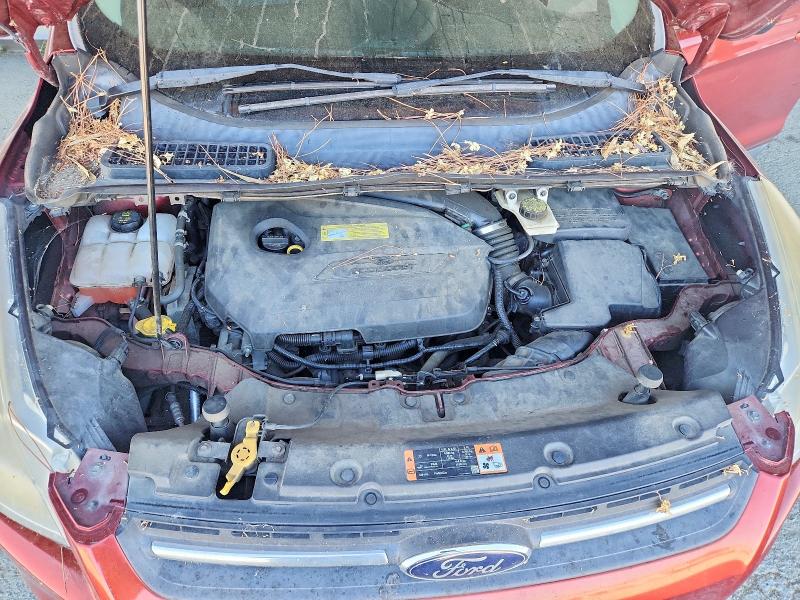 Photo 12 from auction – 2014 FORD ESCAPE with VIN 1FMCU0GX4EUC46002