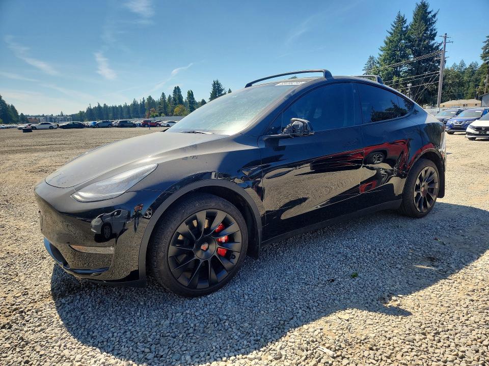 TESLA MODEL Y 2023 with VIN 7SAYGDEE0PA105031 - Photo from auction
