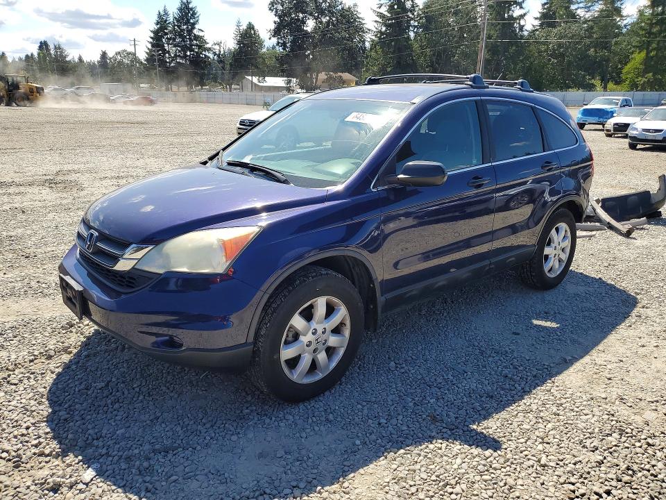 HONDA CR-V 2011 with VIN 5J6RE4H40BL036824 - Photo from auction