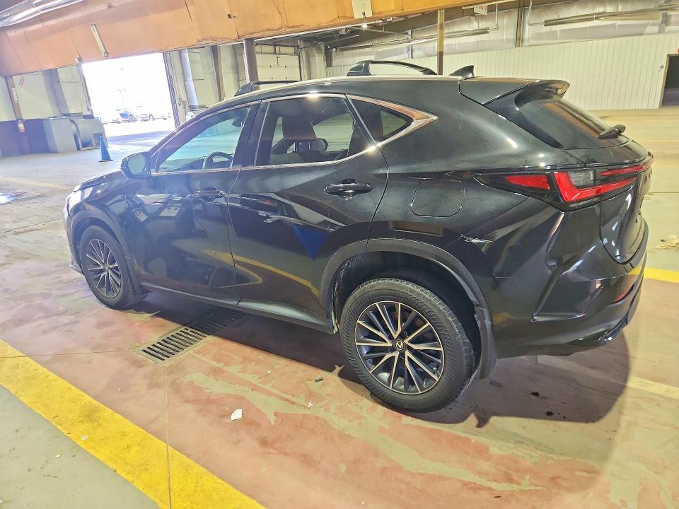 Photo 2 from auction – 2024 LEXUS NX 250 with VIN 2T2ADCAZ5RC009847
