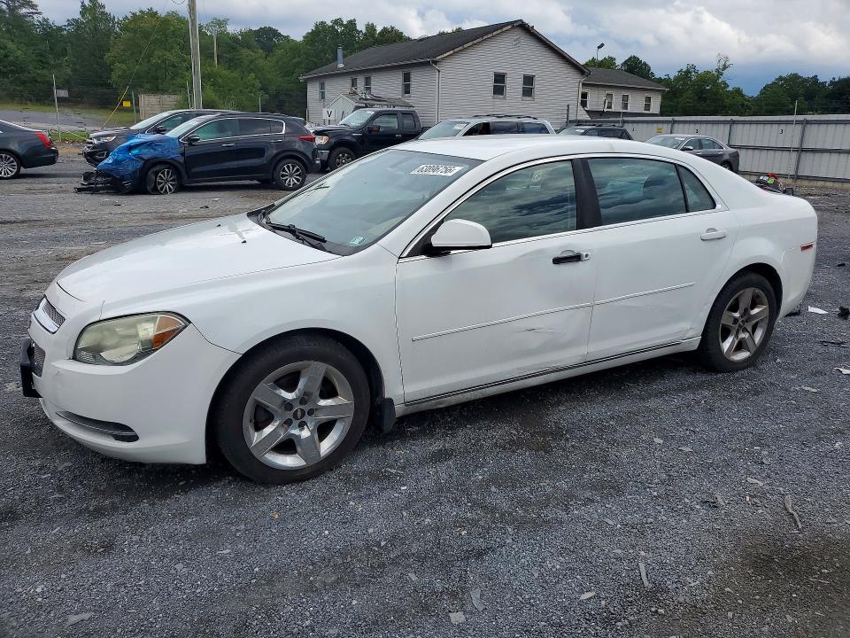 CHEVROLET MALIBU 2010 with VIN 1G1ZC5EB2AF182815 - Photo from auction