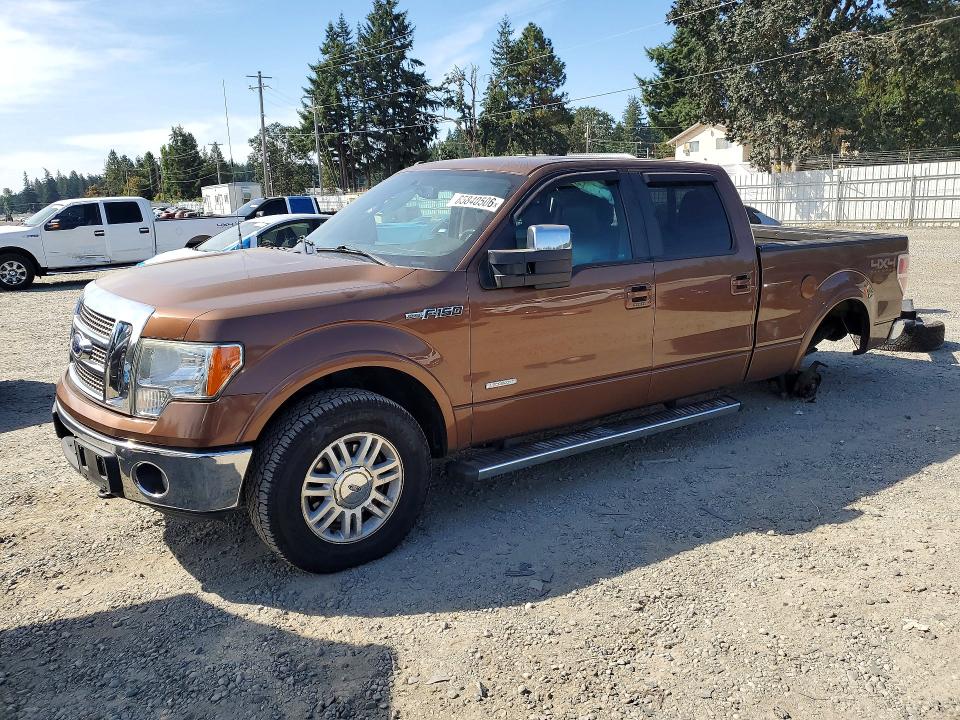 FORD F150 2011 con VIN 1FTFW1ET7BFB24669 - Foto de la subasta