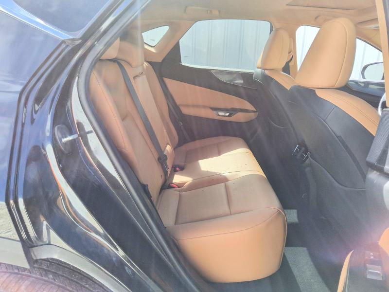 Photo 11 from auction – 2025 LEXUS NX with VIN 2T2GDCAZ1SC025432