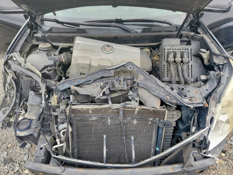 Photo 12 from auction – 2010 CADILLAC SRX with VIN 3GYFNDEY5AS573899