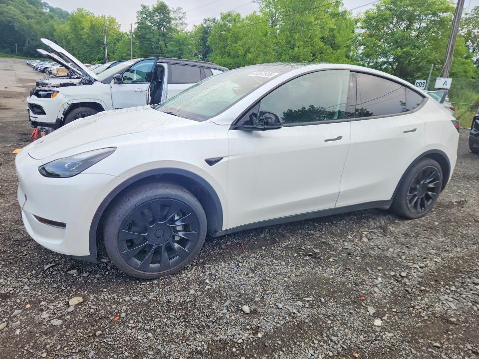 TESLA MODEL Y 2023 with VIN 7SAYGDEE7PF896256 - Photo from auction