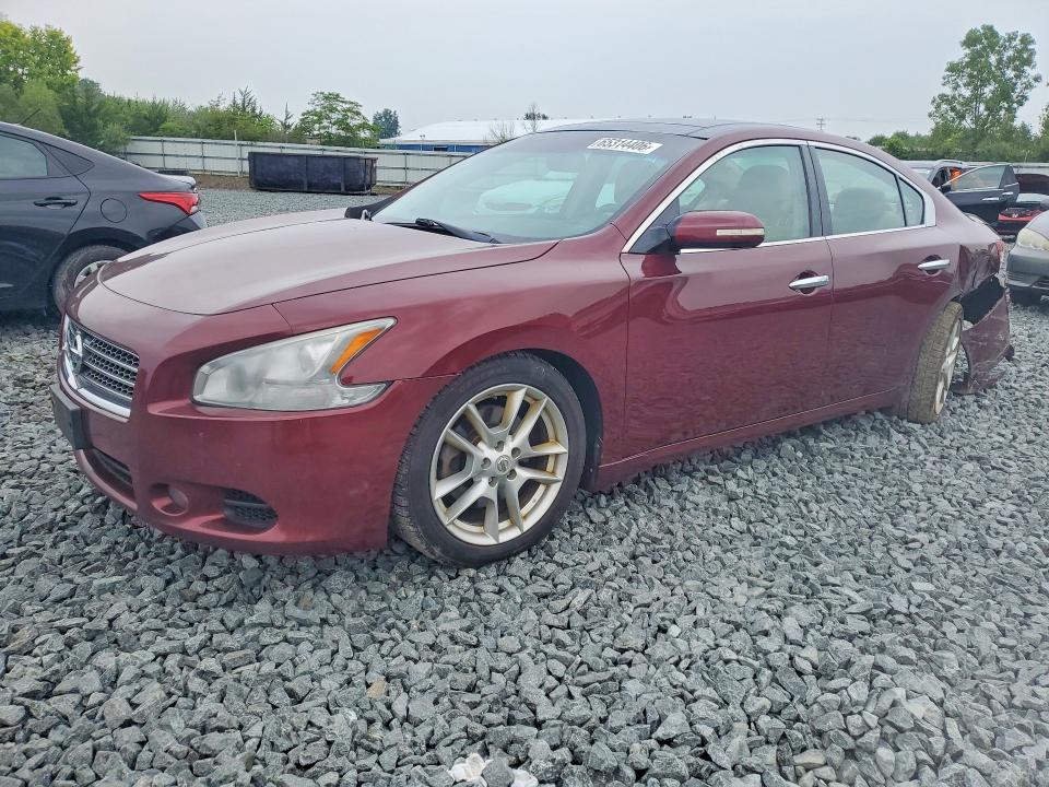 NISSAN MAXIMA 2010 with VIN 1N4AA5AP7AC812606 - Photo from auction