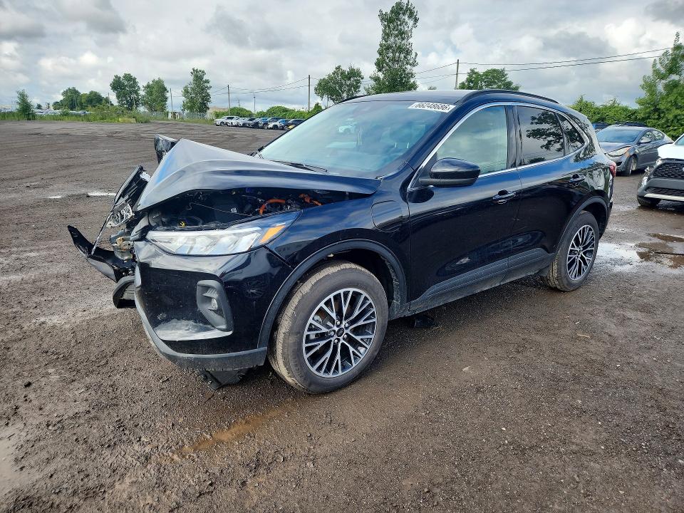 FORD ESCAPE 2025 с VIN 1FMCU0E10SUB64293 - Фото с аукциона