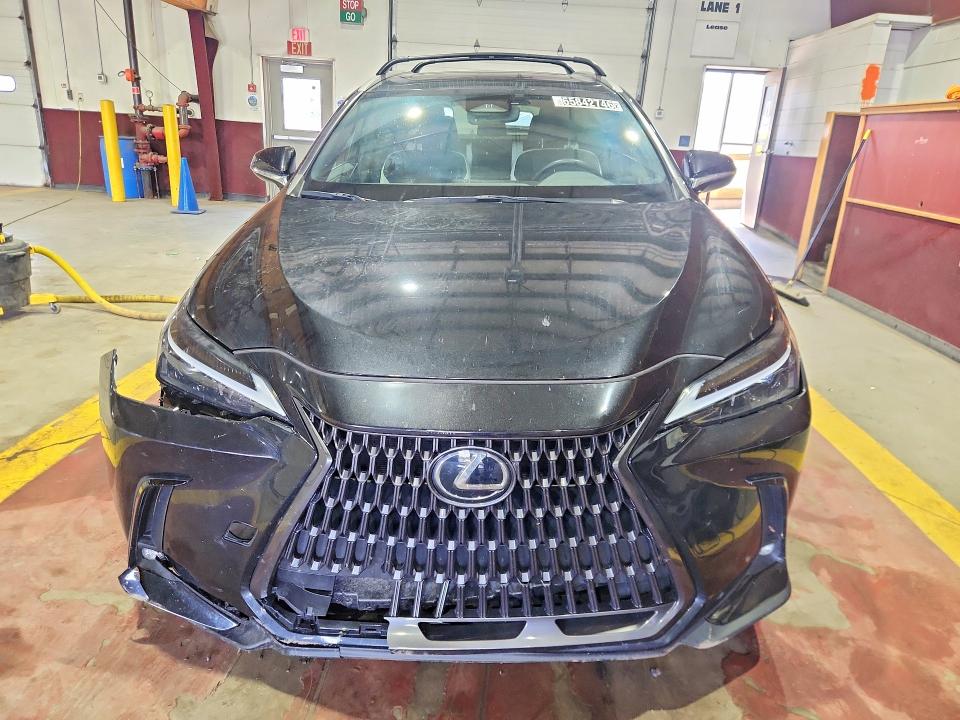 Photo 5 from auction – 2024 LEXUS NX 250 with VIN 2T2ADCAZ5RC009847