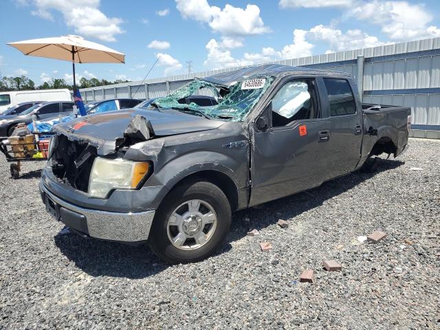 FORD F150 2010 with VIN 1FTEW1C80AFD48620 - Photo from auction