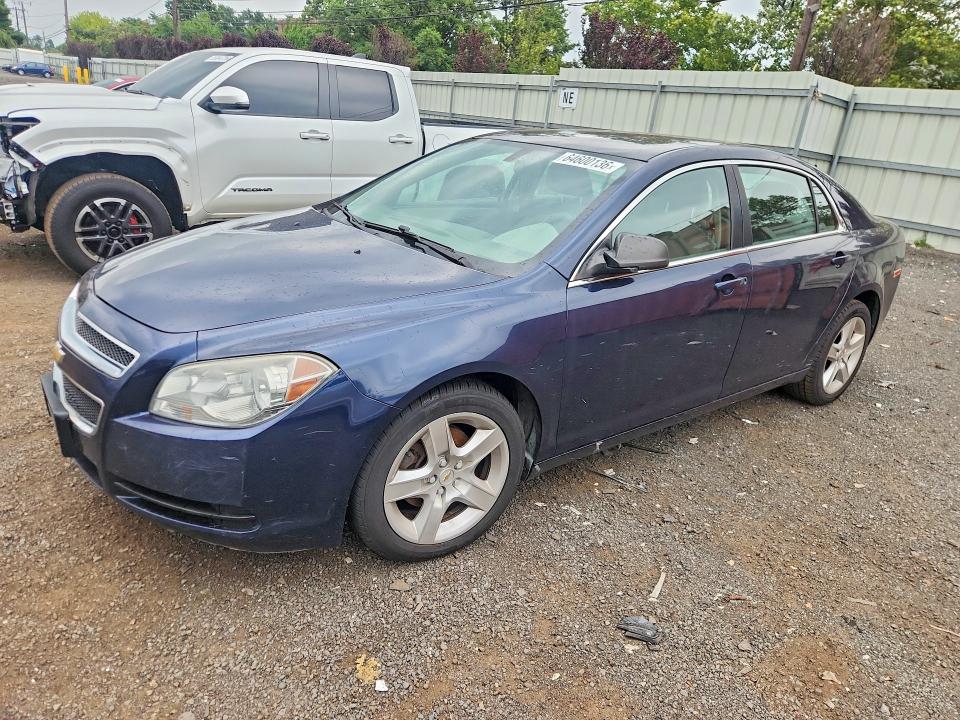 CHEVROLET MALIBU 2011 with VIN 1G1ZA5EU3BF311847 - Photo from auction
